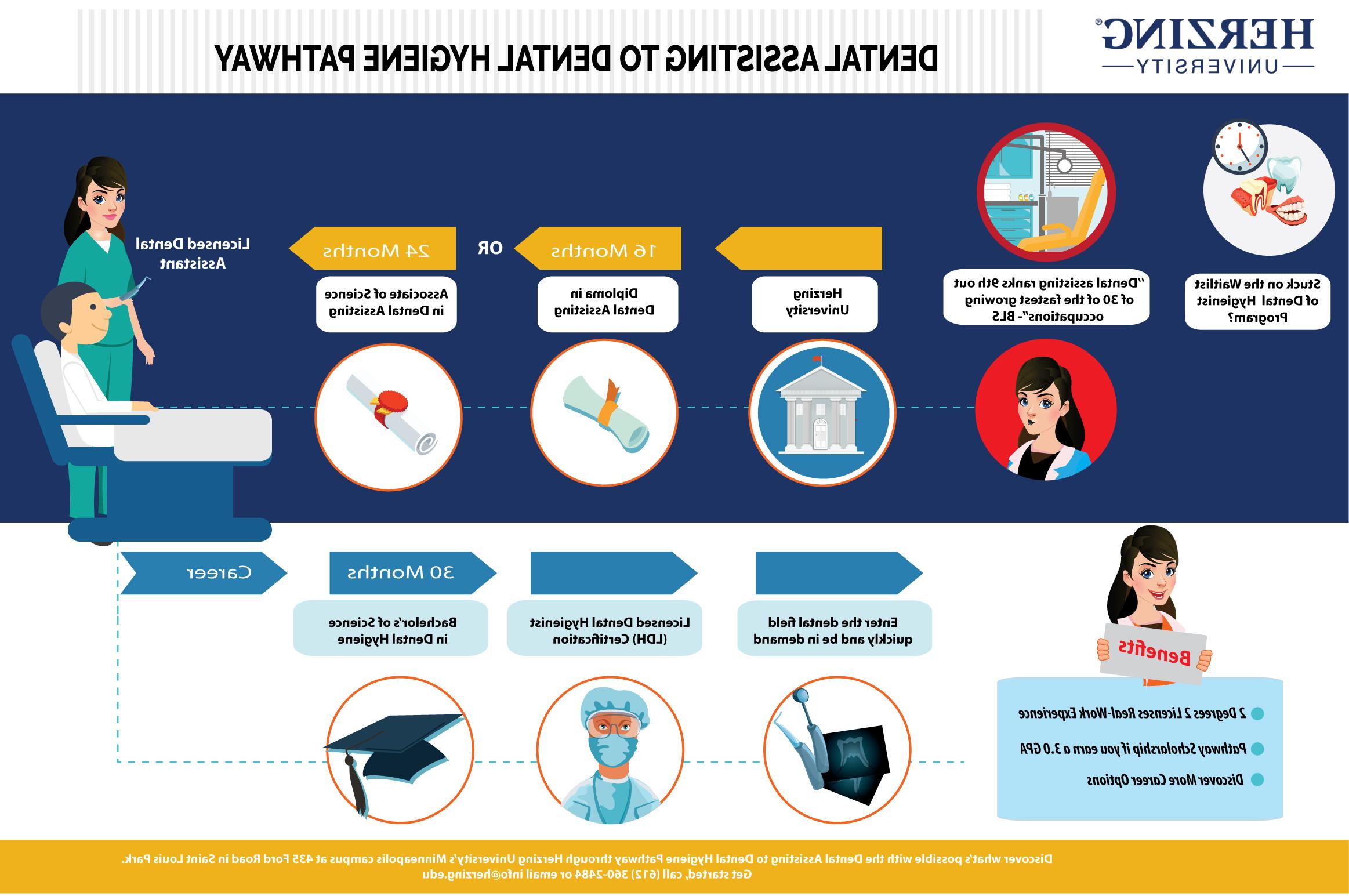 Dental Assistant Infographic